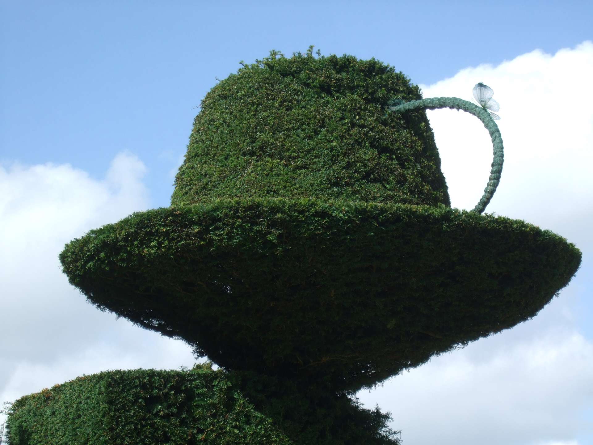 Hecke in Form einer Teetasse im "Alice im Wunderland"-Stil, Antony House, Cornwall ©My own Travel