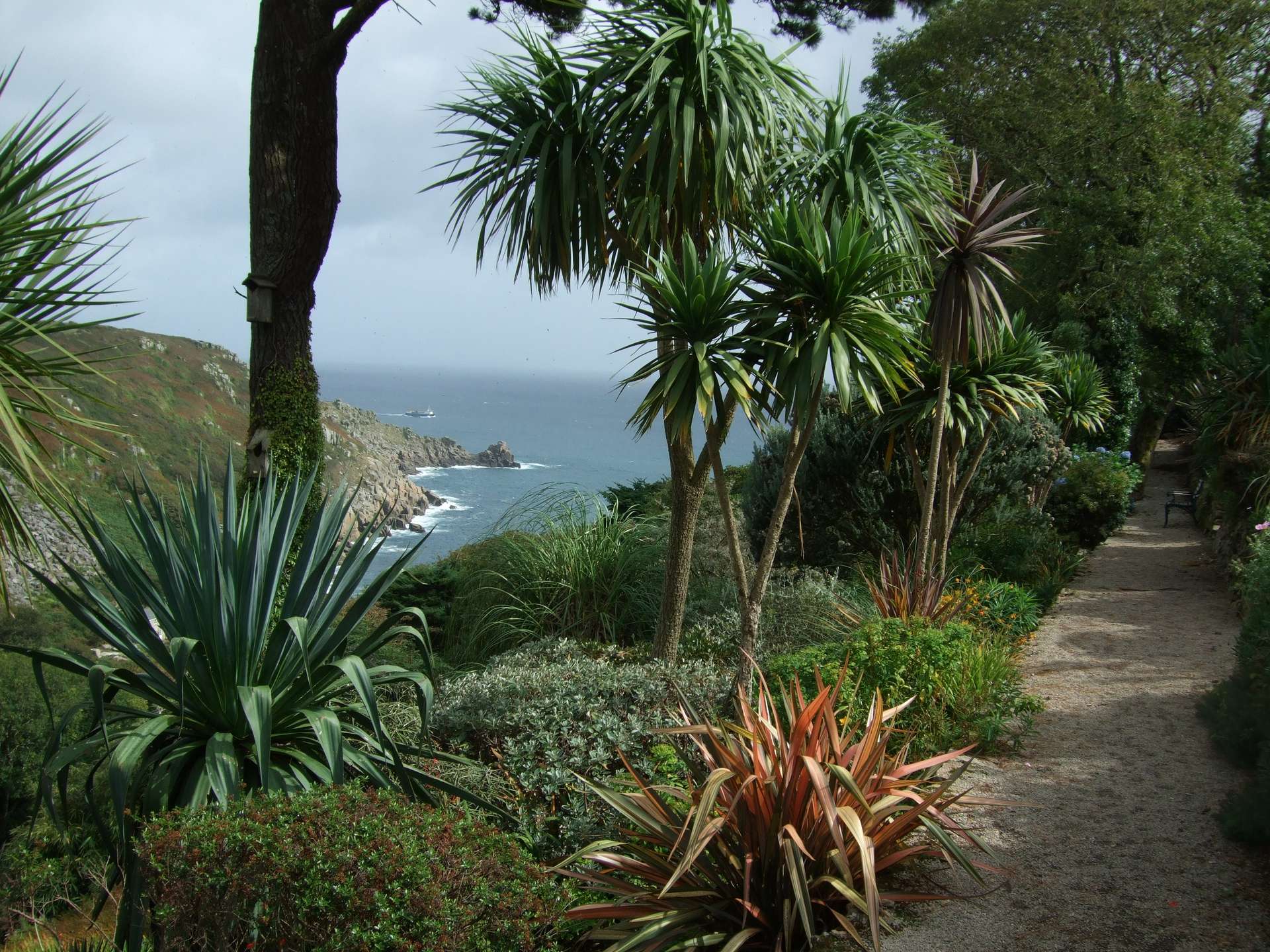 Chygurno Garden mit exotischen Pflanzen in Cornwall