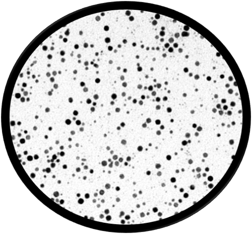 5nm Gold Nanoparticles