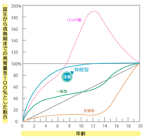 図：スキャモンの成長発達曲線