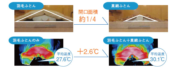 しなやかな記事の証明写真　肩口の開きと温度の差を示しています