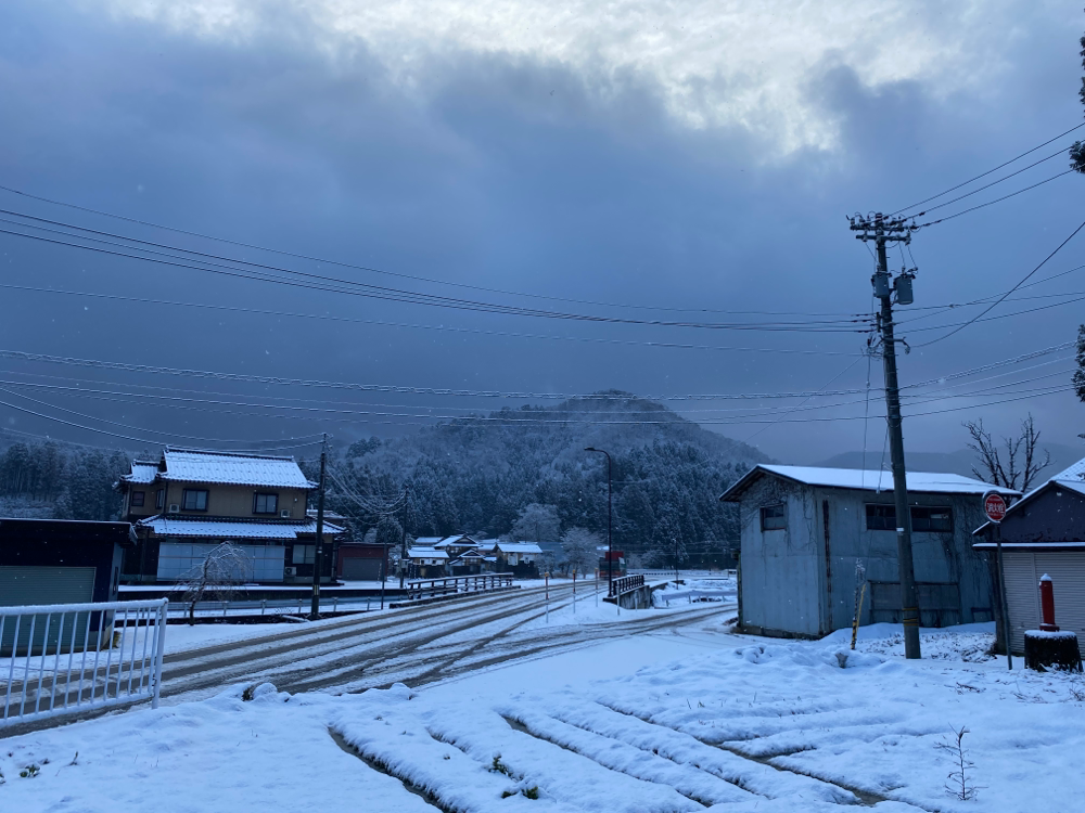 起きたら景色が変わっていた。しっくり。