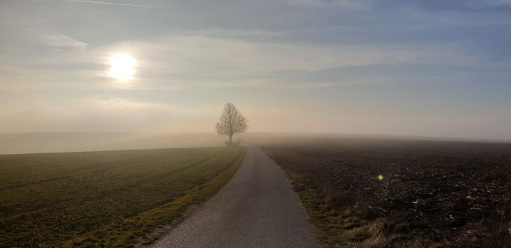 Winter und Kalt im Wein4tel