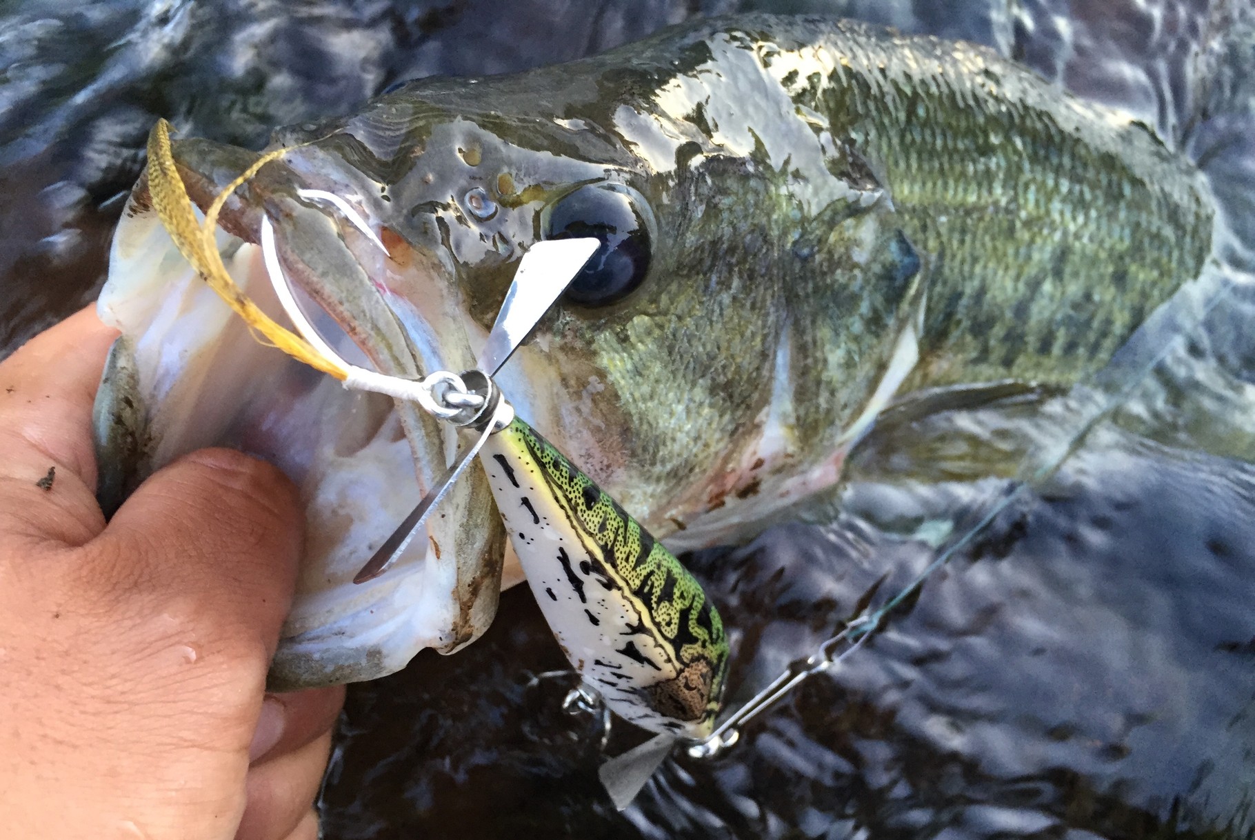 Quality Life * Lures * - クオリティライフ