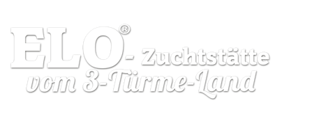 elo-vom-3-tuerme-lands Webseite!