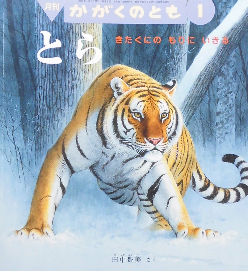 かがくのとも451~500号 - new&used vintage books 新刊・古書 販売・買取