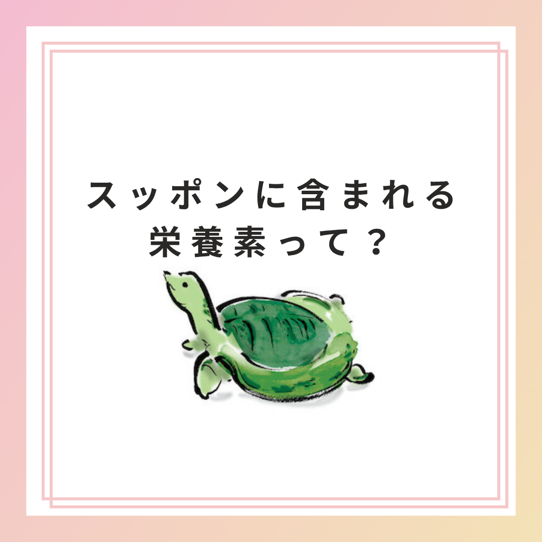 スッポンに含まれるの栄養素って？