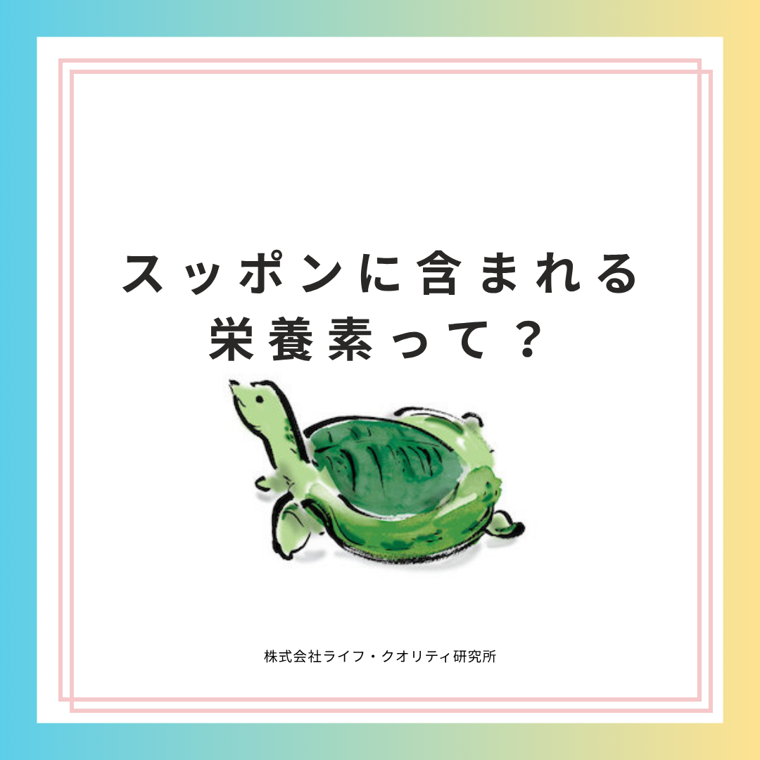 スッポンに含まれるの栄養素って？