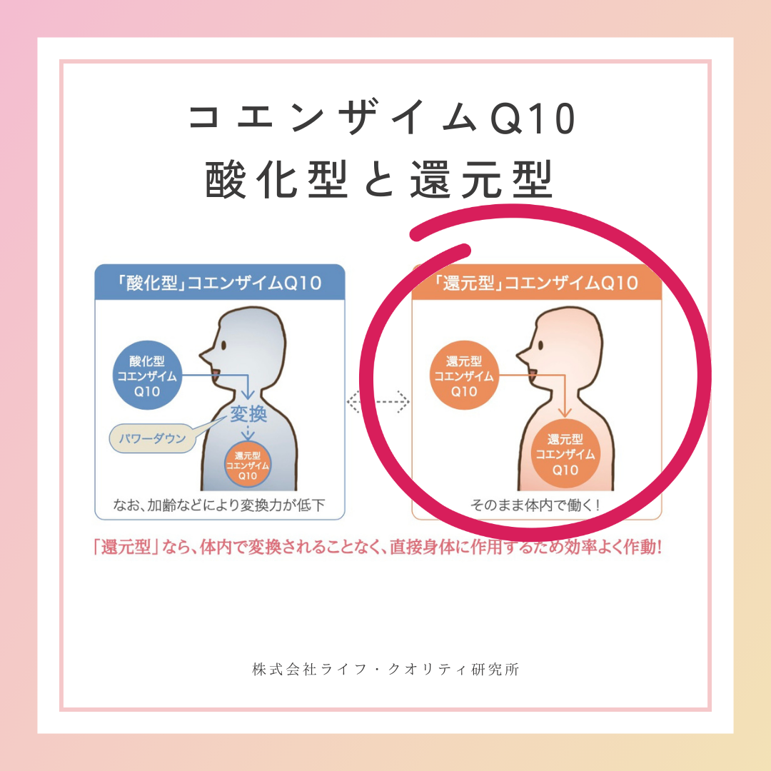 コエンザイムQ10解説動画：酸化型と還元型の違い