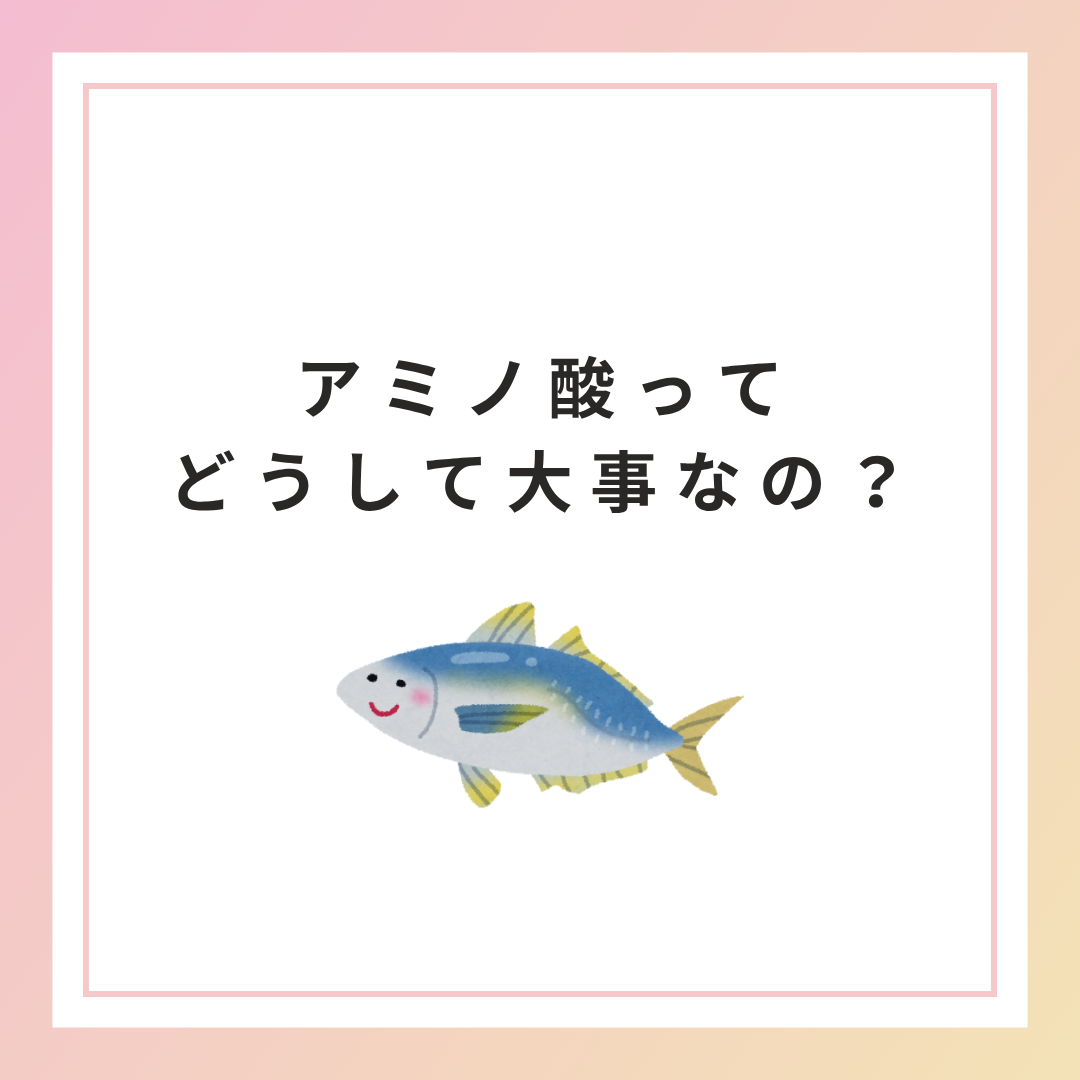 アミノ酸はどうして大事なの？
