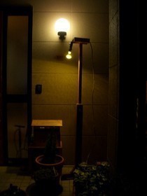 防虫効果フィルム
