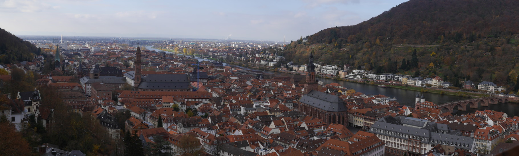 ^Schloss Heidelberg