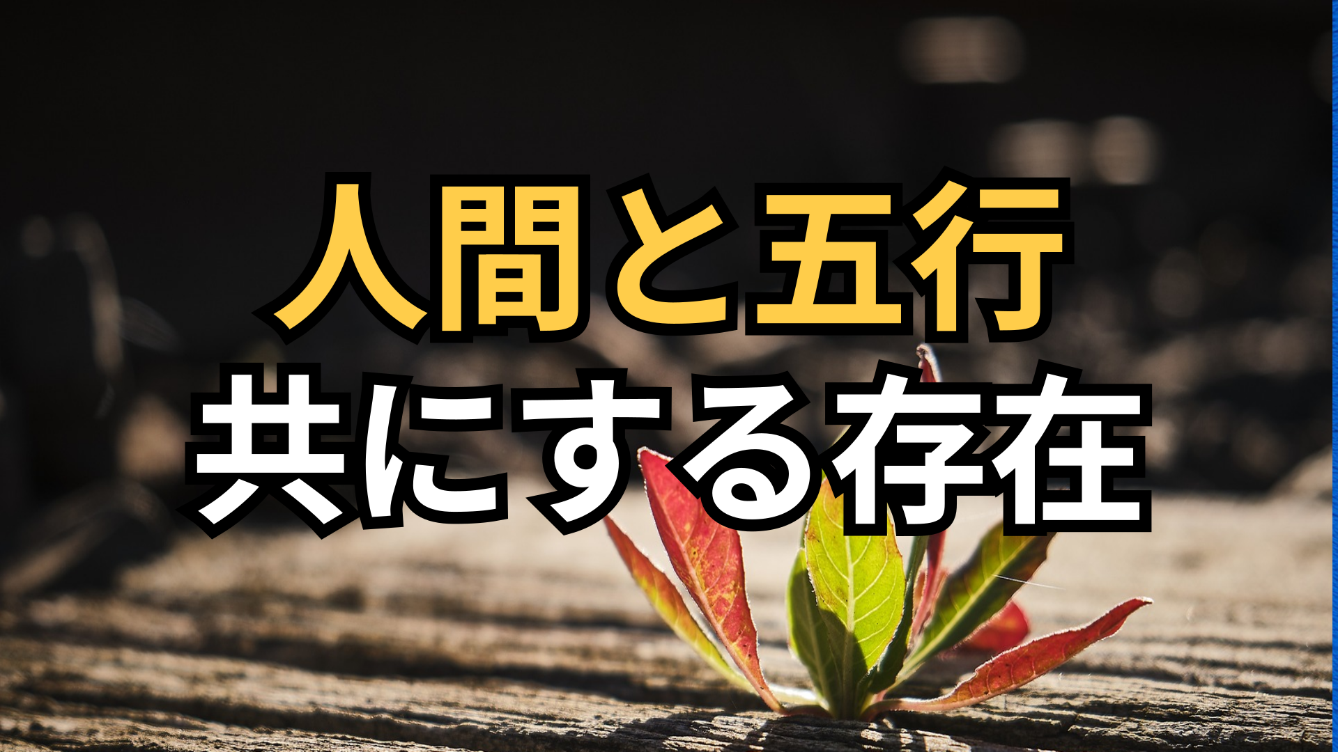 五行と人間！健康な五行が健康なからだをつくる | 東京都世田谷区の占い師 昭晴