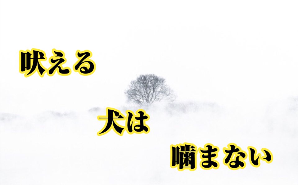 【四柱推命心理】吠える犬は噛まない | 世田谷区の占い師昭晴