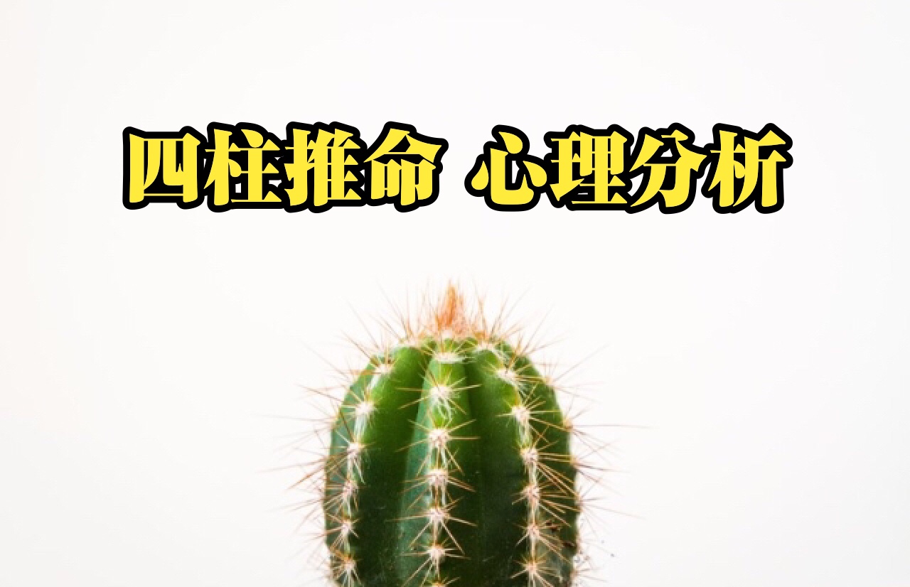 【四柱推命心理分析】印星が多いと生じる問題| 世田谷区の電話占い鑑定師 昭晴