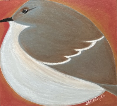 Gobemouche gris. pastel à l'huile sur carton. © SaëlleK.