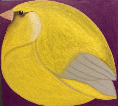 Verdier d'Europe. pastel à l'huile sur carton. © SaëlleK.
