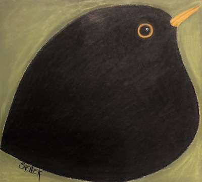 Merle noir. Craie grasse sur carton. © SaëlleK.