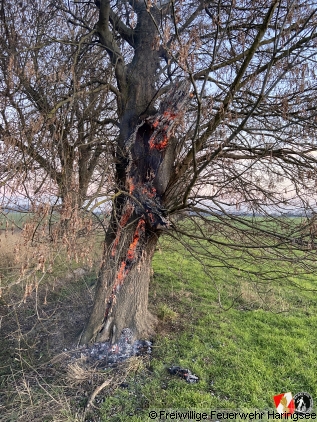 Flurbrand: Brennender Baum am Hauptkanal