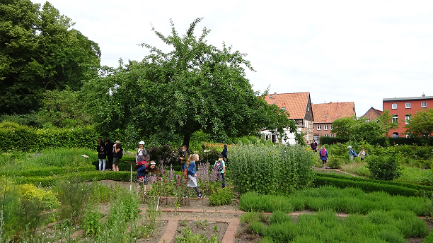 Entdeckungstour im Klostergarten | Foto: Klosterverein