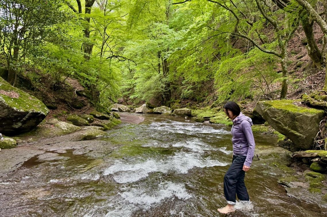 【森のR&D（5）】自分との対話｜想い想い