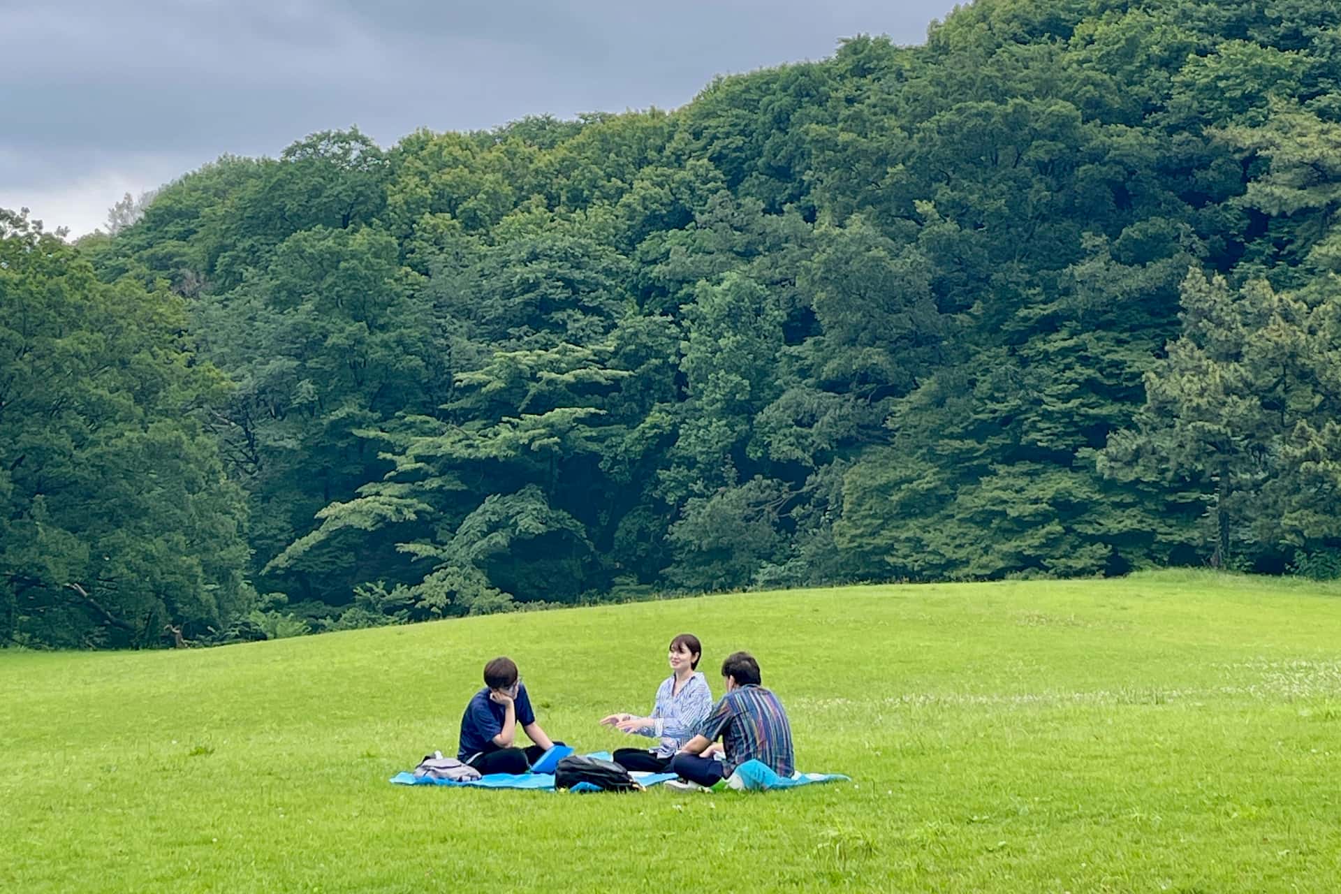 【研修レポート】リフレクション＆チームビルディング｜対話が力になる組織