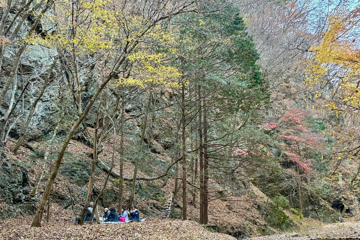 【森のR&D（8）】仲間・他者との対話｜一人では感じられない