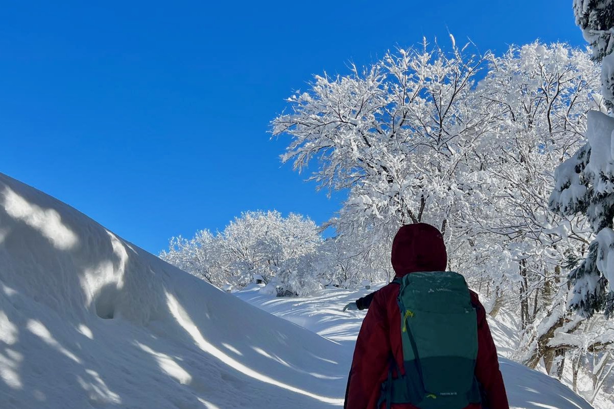 【満員御礼】雪のよる森 Nomadic＠津南・秋山郷