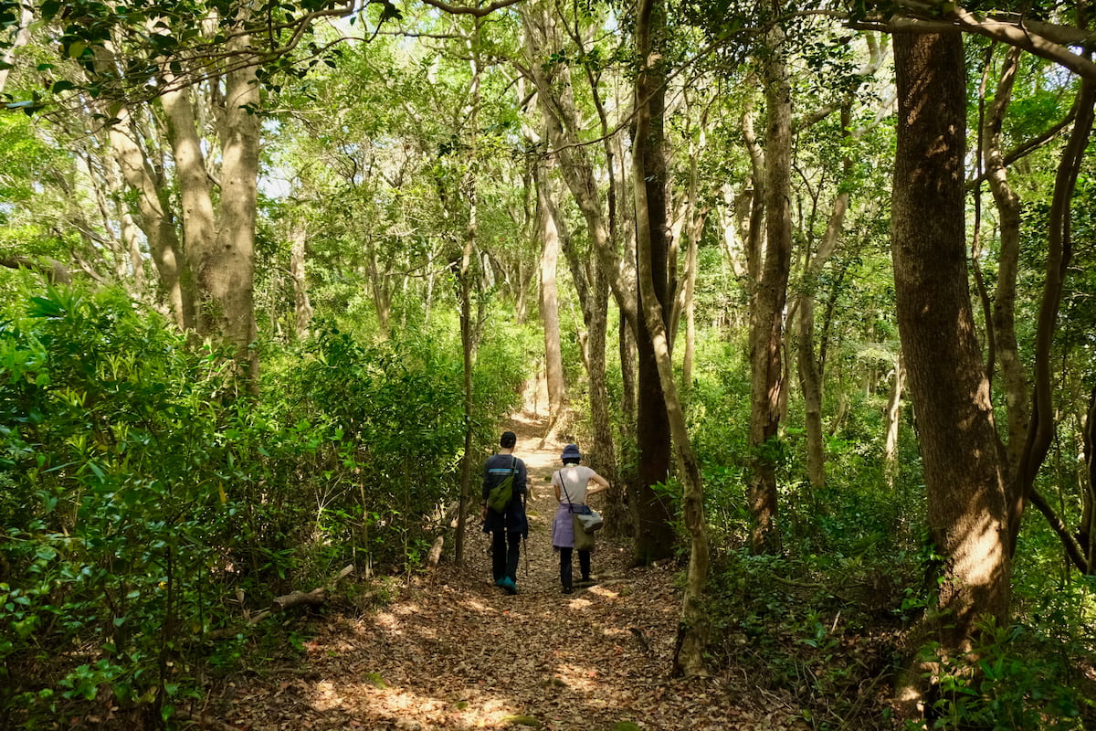 【森のR&D（4）】自分との対話｜デコボコ