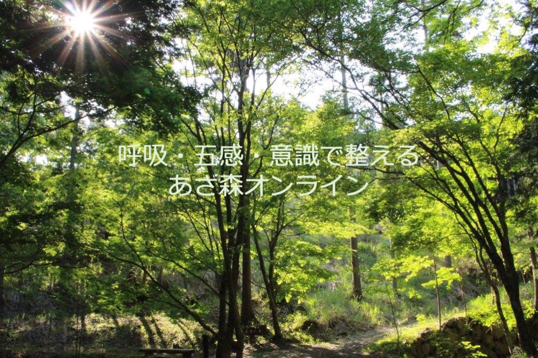 呼吸・五感・意識で整える「あさ森オンライン」イメージ画像
