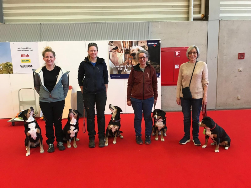 HUND25 für den Entlebucher Klub