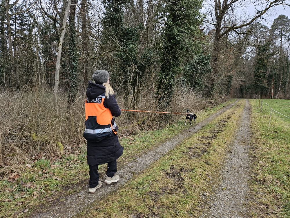 Einsatzübung REDOG RG OS🤩