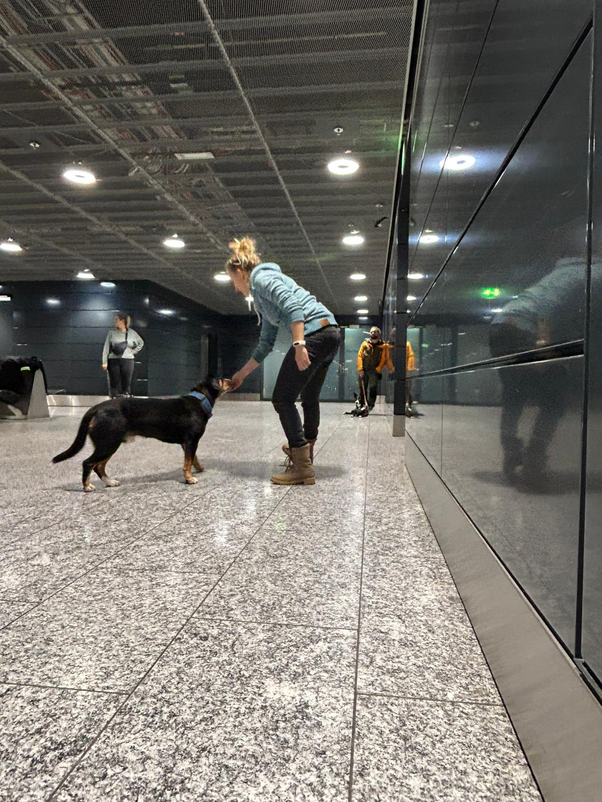 Training am Flughafen😊