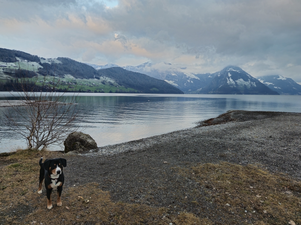 Vierwaldstättersee🩵