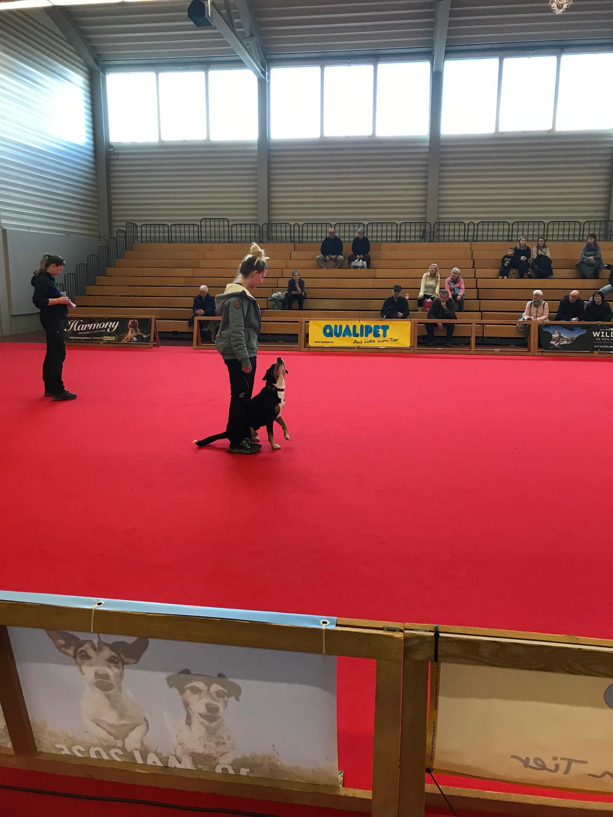 HUND25 für den Entlebucher Klub