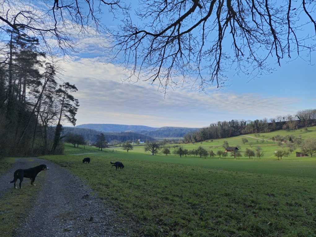 Glattfelden mit Jero🤗
