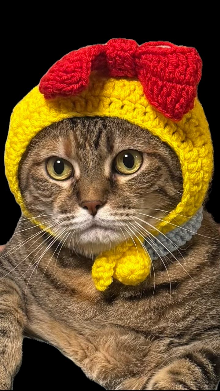 今年も残り2ヶ月！