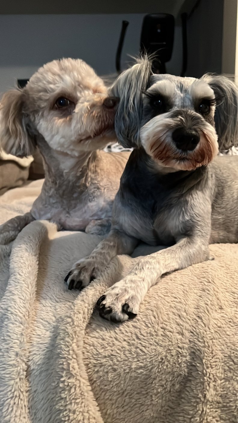 BENくんROSEちゃん