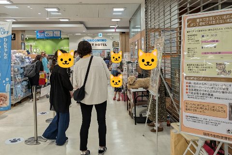 譲渡会巡り