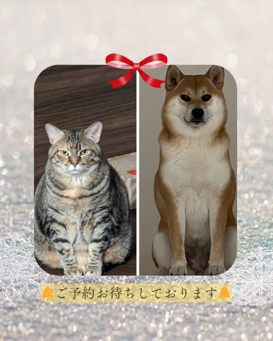 年末年始期間のお知らせ