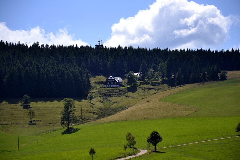 Wanderwirtschaft - Schwedenschanze am Rohrhardsberg