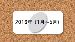 2016年（1月～5月）