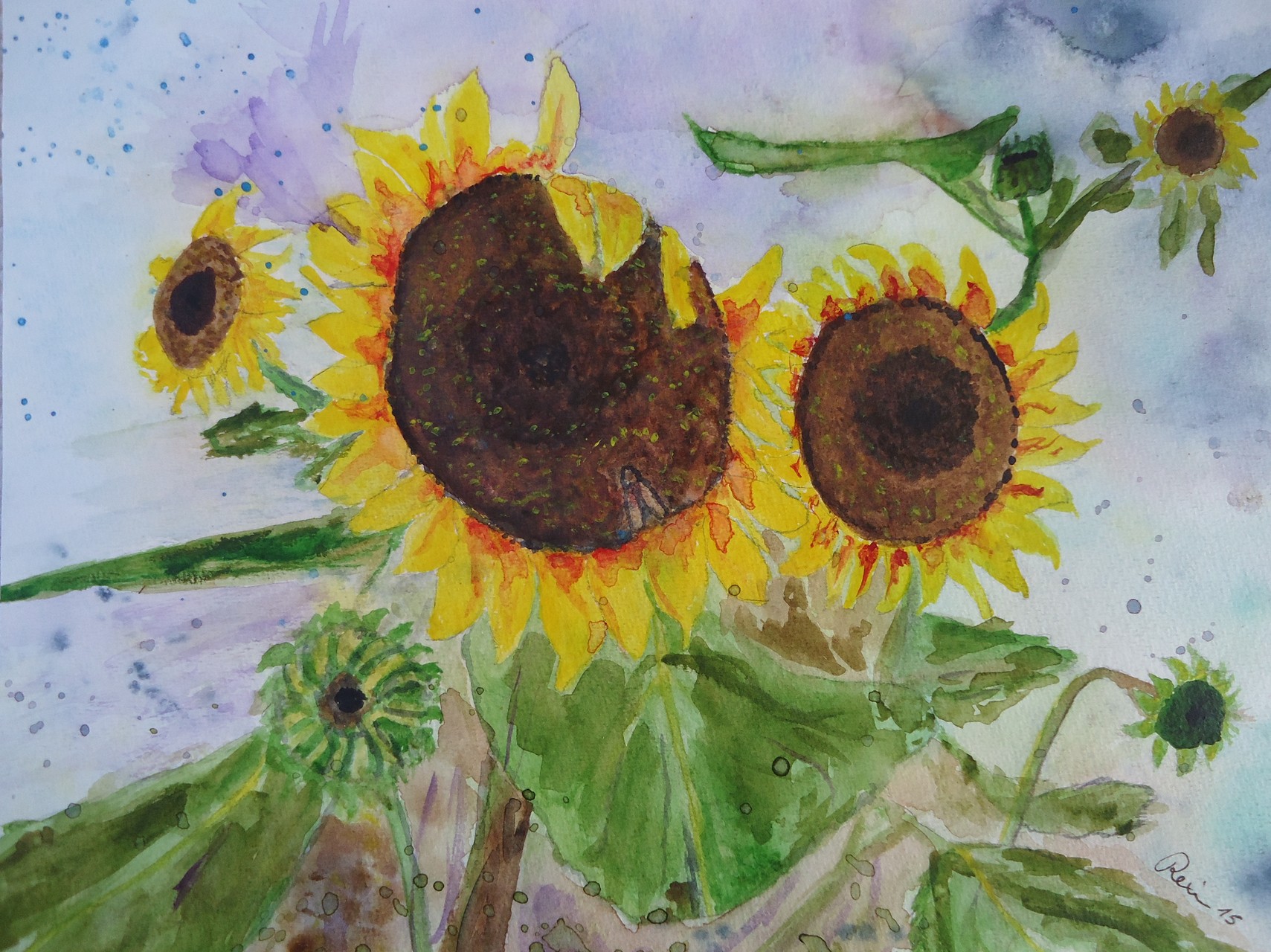Sonnenblumen, Aquarell