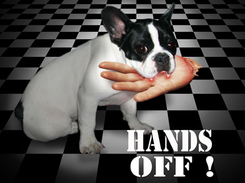 Hands off -  Fotomontage