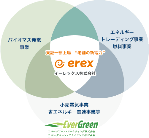 イーレックスグループ全体図