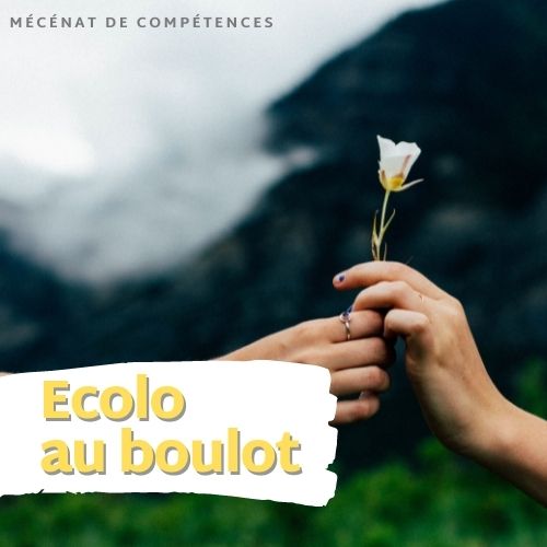 Mécénat de compétences - Interview de Flora