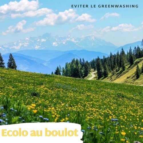 Eviter le Greenwashing [x Océane de Greenscale] - Interview de Pablo de Trust Society
