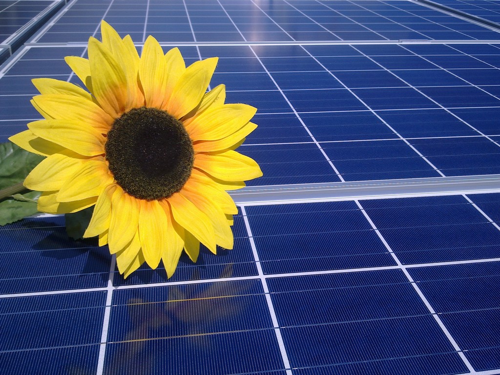 www.solareffekt.de
