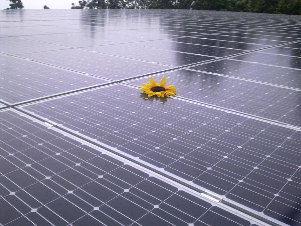 www-solareffekt.de
