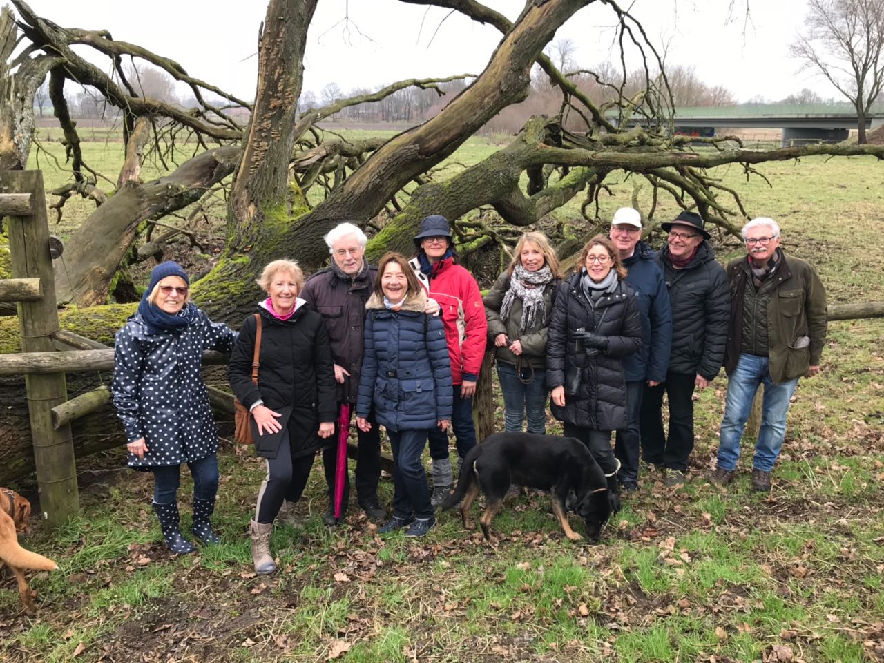 Winterwanderung Steverauen 2018
